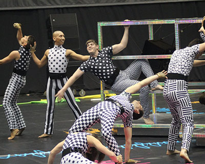 Bluecoats